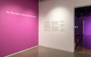 Pink and white wall with title and curatorial text.