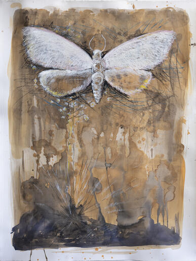 color painting of a moth on a brown background