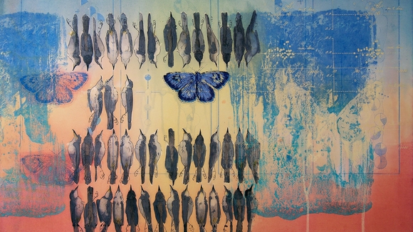 A screen print of a number of birds and butterflies in blue, red, yellow, and black