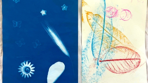 cyanotype and drawing