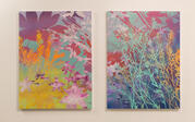 Two paintings featuring various types of native plants by Devon Tsuno