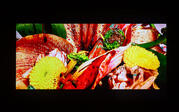 Still from a video by Karen Martinez. The screen displays brightly colored flowers and plants. 