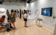 gallery shot of voice a wild dream opening