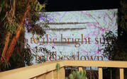 image projection on side of building with text "the bright sun reaches down"
