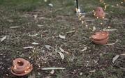 fairy lights on the ground on top orange clay dishes 