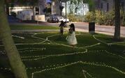 attendees viewing the fairy lights on the ground creating paths
