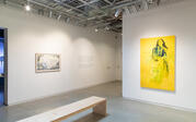 Gallery View, The Iridescence of Knowing, Fall 2023