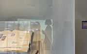 Silhouettes through a curtain of Yael Lipschutz and a tour group lit by Sondra Perry's projected artwork, with the Encyclopedia of Invisibility in the foreground.