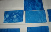 Finished cyanotype pieces