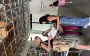Cyanotype Drawing Workshop - Observing each others work
