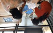 Cyanotype Drawing Workshop - Observing each other's finished work