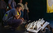 Person observing Mario Lewis's "Forest Notebooks"
