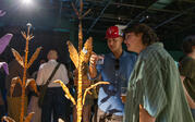 People observing Simphiwe Ndzube's "Secrets of the Field"