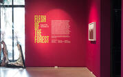 View of placard painted on a pink wall reading "Flesh of the Forest" with artist names and descriptions.