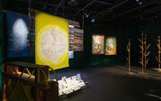 Gallery view with Mario Lewis's art central