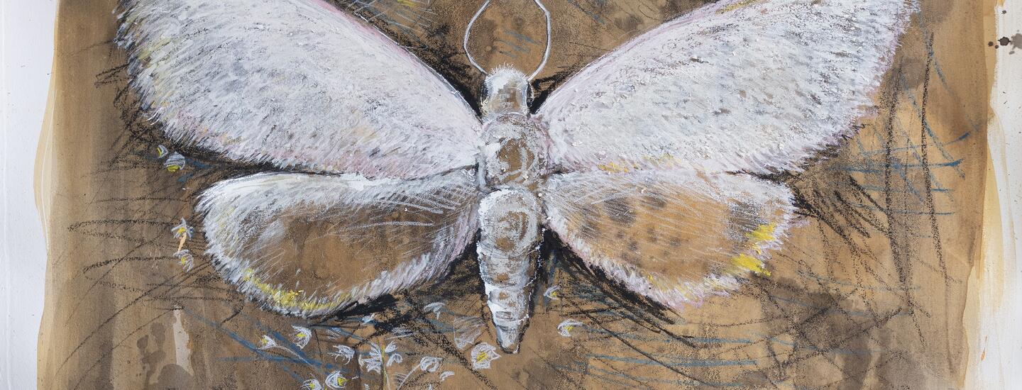 detail of menilys muse, painting of white moth on brown background