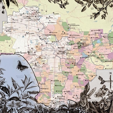 Oxy Homepage